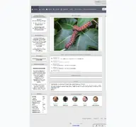 Kleine Seitenvorschau von entomologenportal.de