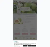 Kleine Seitenvorschau von drinkcoa.de