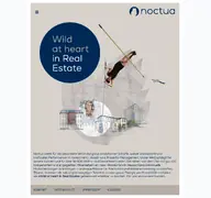 Kleine Seitenvorschau von noctua-advisors.de