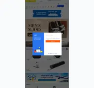Kleine Seitenvorschau von flipkart.com