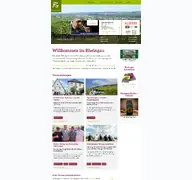 Kleine Seitenvorschau von rheingau.de