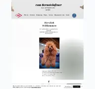 Kleine Seitenvorschau von vombernsteinfeuer.de