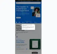 Kleine Seitenvorschau von qualtrics.com