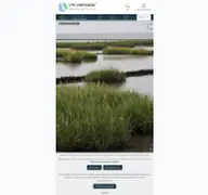 Kleine Seitenvorschau von nordsee-mitteldithmarschen.de