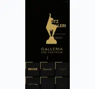 Kleine Seitenvorschau von kitz-galleria.at