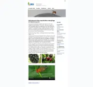 Kleine Seitenvorschau von drosophila.julius-kuehn.de