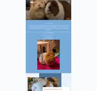 Kleine Seitenvorschau von notmeerschweinchen.de
