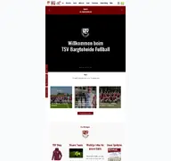 Kleine Seitenvorschau von fussball-bargteheide.de