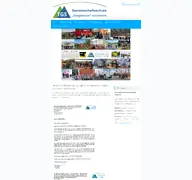 Kleine Seitenvorschau von steigerblick.de