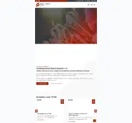 Kleine Seitenvorschau von dtkvbayern.de