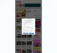 Kleine Seitenvorschau von ducvietonline.de