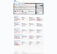 Kleine Seitenvorschau von e-marketer.de