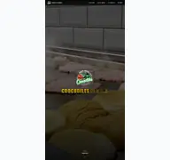 Kleine Seitenvorschau von crocodilesburger.de