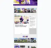 Kleine Seitenvorschau von vikings.com