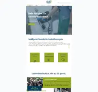 Kleine Seitenvorschau von cut-energy.de