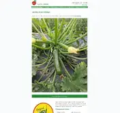 Kleine Seitenvorschau von obstbau-ruediger.de