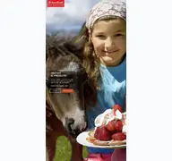 Kleine Seitenvorschau von obsthof-schneekloth.de