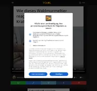 Kleine Seitenvorschau von yolol.de