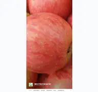 Kleine Seitenvorschau von obstwiesenhof.de