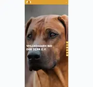 Kleine Seitenvorschau von dzrr.de