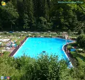 Kleine Seitenvorschau von waldschwimmbad-zorge.de