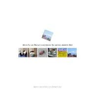 Kleine Seitenvorschau von lovetorrent.net