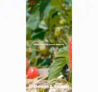 Kleine Seitenvorschau von biohof-laurer.de