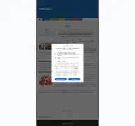 Kleine Seitenvorschau von checks.de