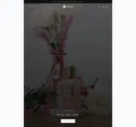 Kleine Seitenvorschau von olina-shop.de