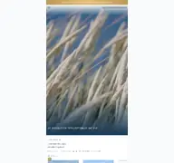 Kleine Seitenvorschau von oltmann-immobilien-sylt.de