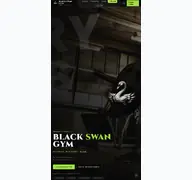 Kleine Seitenvorschau von blackswangym.de