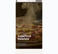 Kleine Seitenvorschau von adler-grill.de