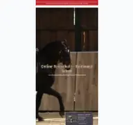 Kleine Seitenvorschau von online-reitschule.de