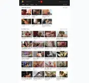Kleine Seitenvorschau von darknocta.com