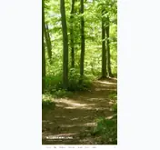 Kleine Seitenvorschau von wildsammlung.at