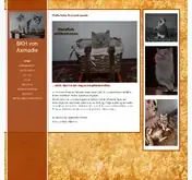 Kleine Seitenvorschau von bkh-von-axmadie.de