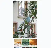Kleine Seitenvorschau von hotelkrone-auggen.de