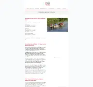 Kleine Seitenvorschau von hermann-gutmann-stiftung.de