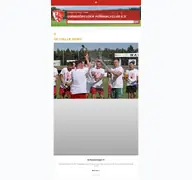 Kleine Seitenvorschau von ludwigsfelder-fc.de