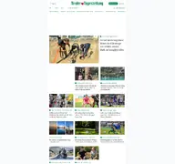 Kleine Seitenvorschau von tt.com