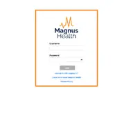 Kleine Seitenvorschau von magnushealthportal.com