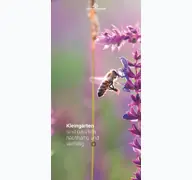 Kleine Seitenvorschau von gartenfreunde-rheinland.de