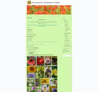 Kleine Seitenvorschau von gartenfreunde-ruegen.de
