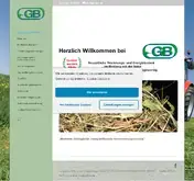 Kleine Seitenvorschau von gb-birk.de