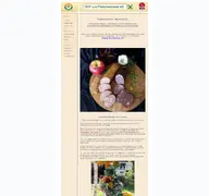 Kleine Seitenvorschau von rvf-hessen.de