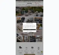 Kleine Seitenvorschau von brandstores-cane-line.de