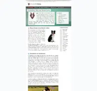 Kleine Seitenvorschau von countrydog.de