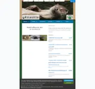 Kleine Seitenvorschau von otterspotter.de