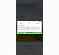 Kleine Seitenvorschau von camping.at