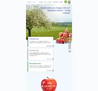 Kleine Seitenvorschau von gob-stbg.de